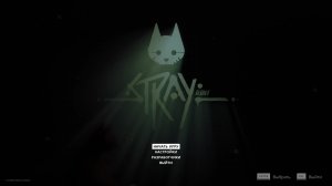 Stray #1