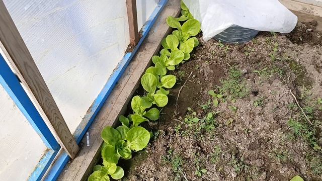 20.04.26. Кругом всё меняется.