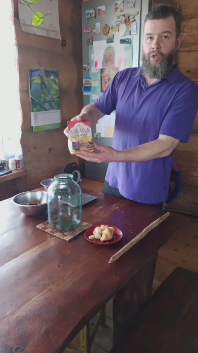 Всего 3 ингредиента: готовим живой квас на березовом соке🍺