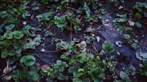 Запахло весной.