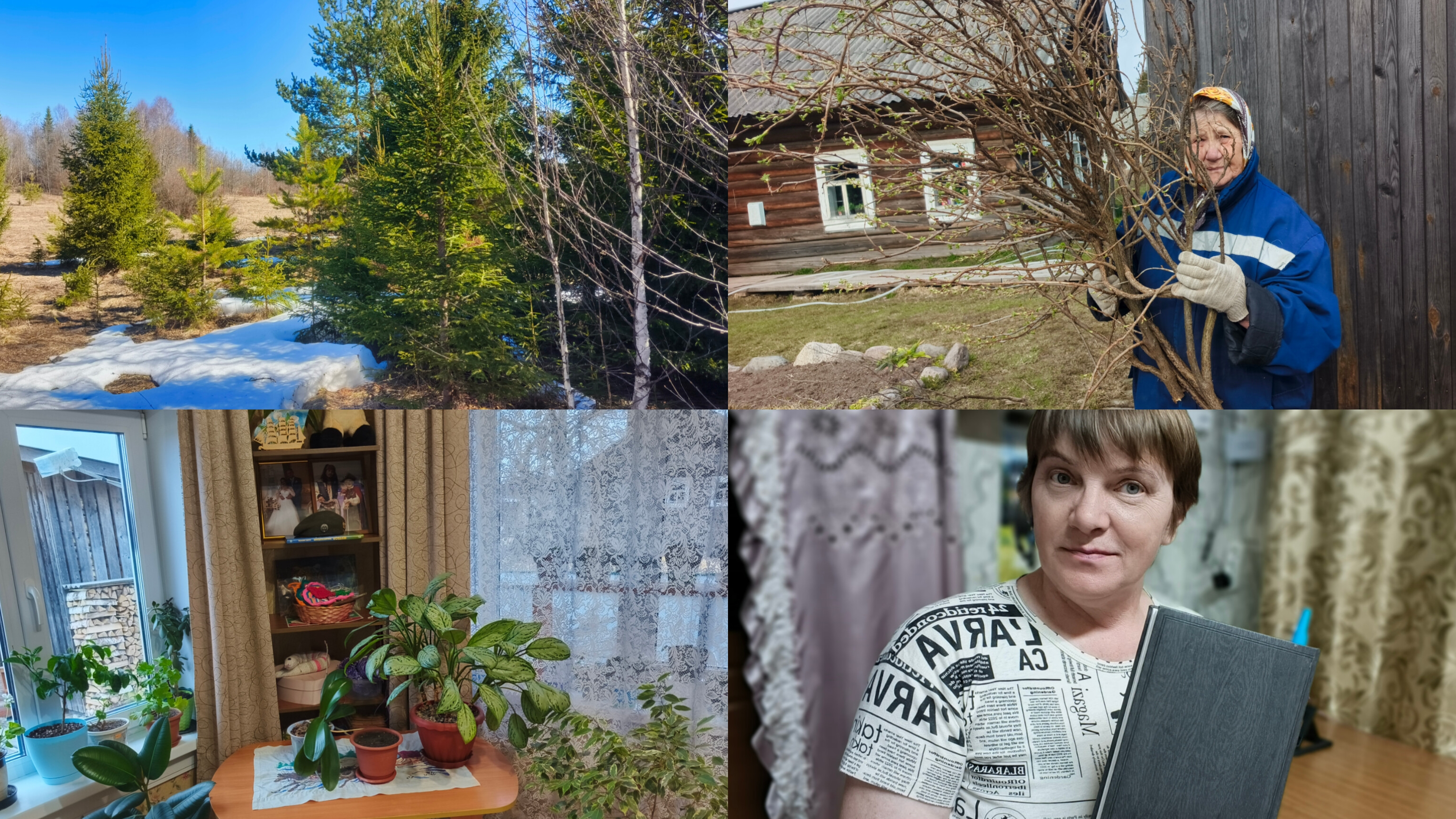 Прибралась прогулялись обрезка кустов о себе немного .