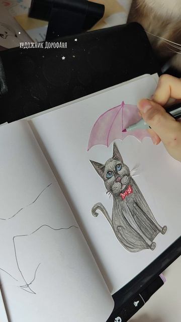 Весенняя картинка с котиком😼