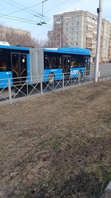 редкий волгабус гармошка