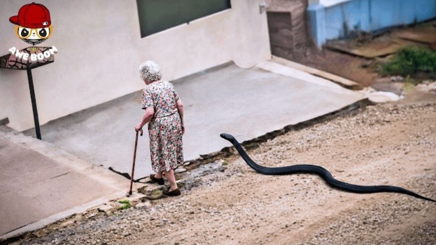 100 самых везучих людей попавших на камеру.