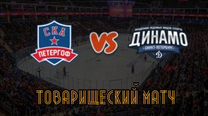 СКА Петергоф 15 - Динамо 16