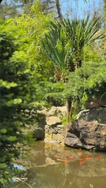 Детский лагерь SpaCamp в Туапсе. Весна