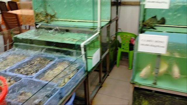 Ванны с морепродуктами!