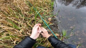 РЫБАЛКА НА ПОПЛАВОЧНУЮ УДОЧКУ