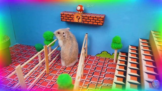 Приключение в лабиринте с хомяками! найдем спрятанное сокровище! часть 3