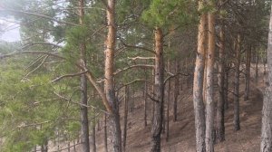 Заблудились в лесу! Нашли скалу "Мамонт"!