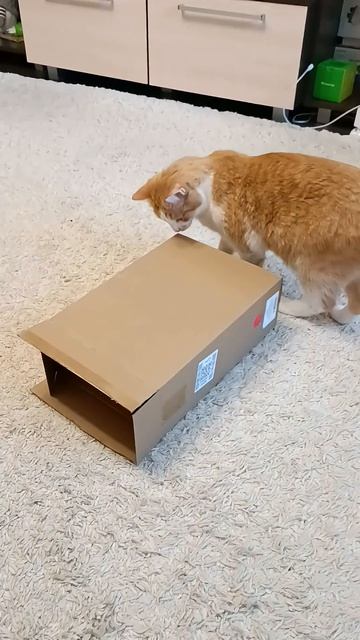 23 апреля 2026 г.