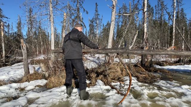 Исследую очередное озеро. Погода супер жарю сало на костре наслаждаюсь природой.