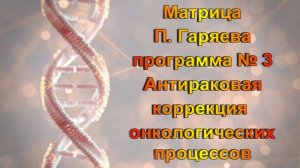 Матрица П. Гаряева  // Антираковая программа  //