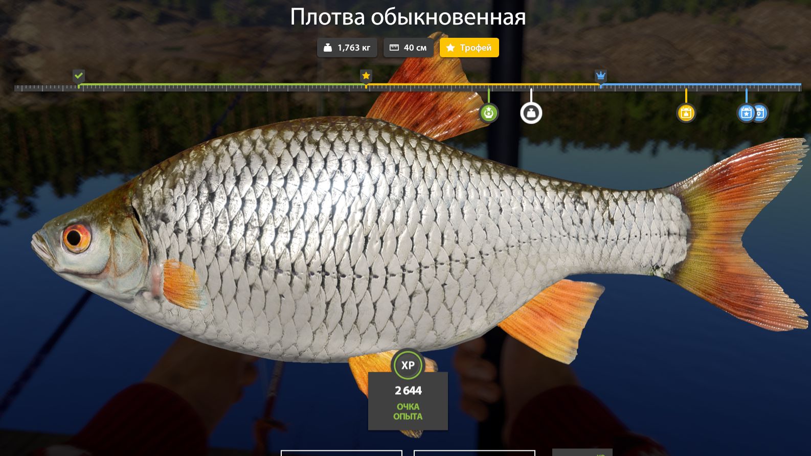 Ладожское озеро! Елец, рыбец, рипус, ряпушка, корюшка, отдых