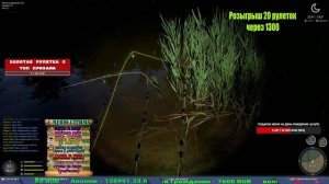 ВЕЧЕРНЯЯ ПРОВЕРКА МЕДНОГО НА КОИ И ЯМА В РУССКОЙ РЫБАЛКЕ 4 СТРИМ