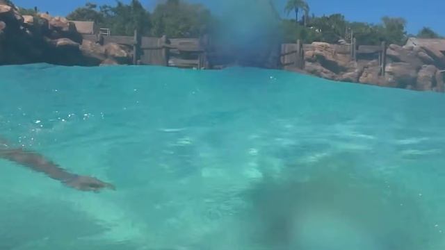 ОТПУСК ПОШЁЛ НЕ ПО ПЛАНУ!