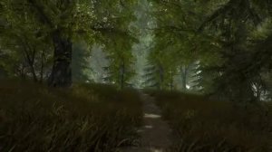 Gothic 2 Music Ambience (Nature Exploration  Relaxing)
