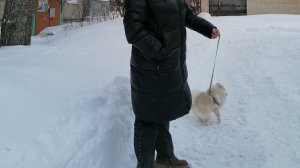 VID_20260322_173428.mp4