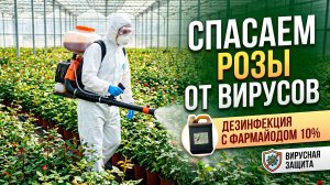 ФАРМОЙОД: химическое оружие против фитовирусов? Профилактика вирусных заболеваний растений!
