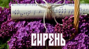 СИРЕНЬ