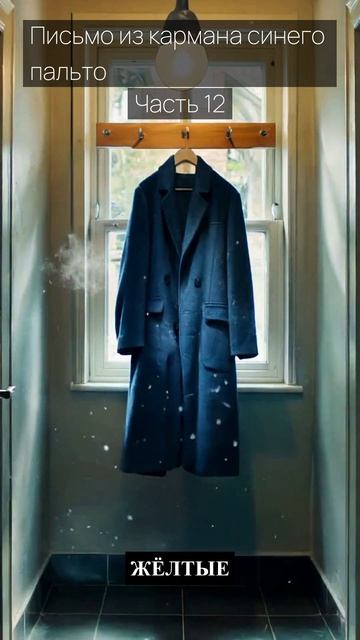 Письмо из кармана синего пальто / Часть 12 / Грустные рассказы / Истории из жизни