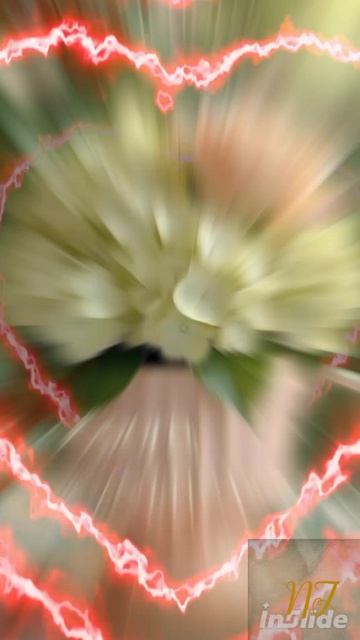 Доброе утро.mp4