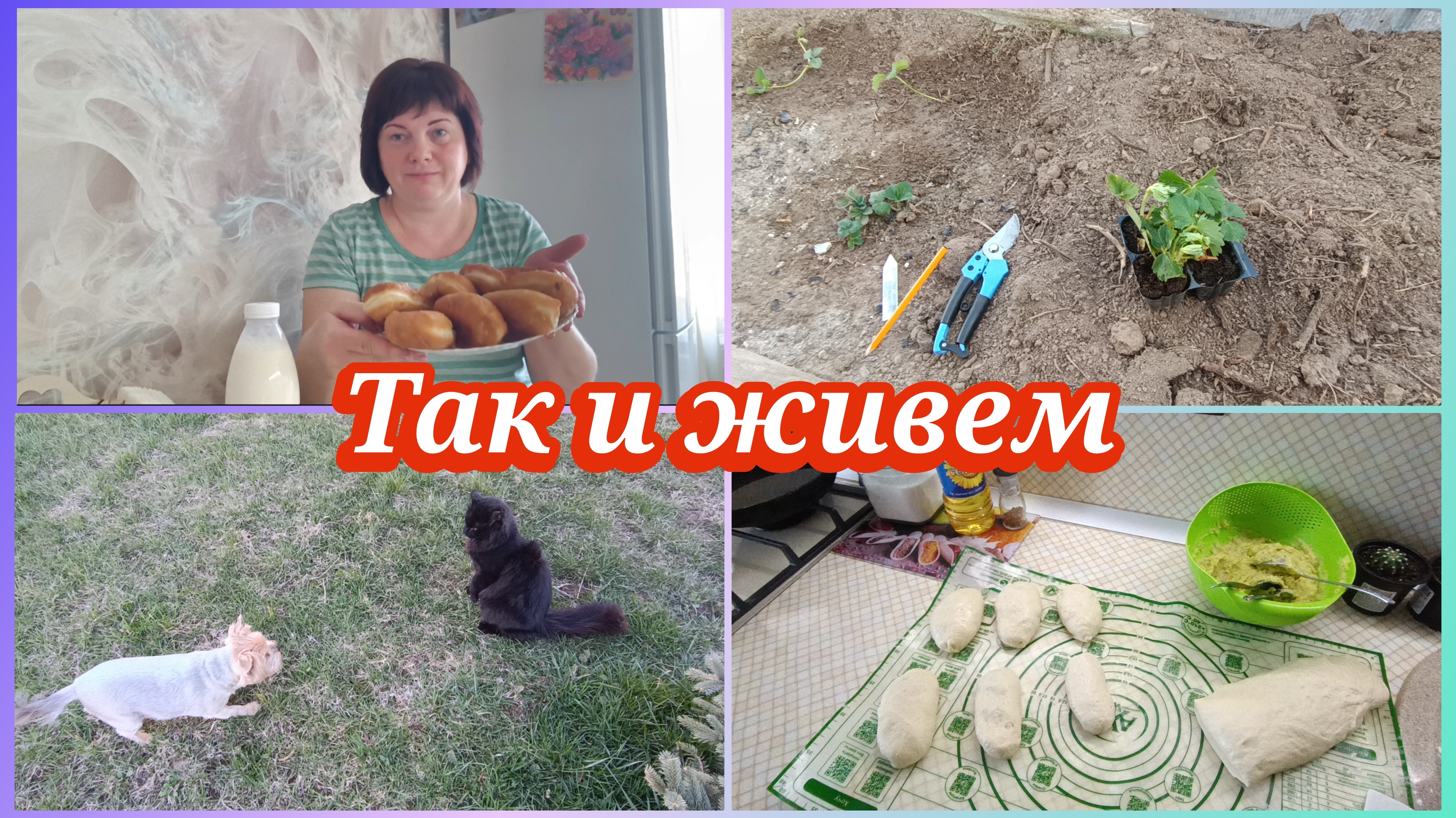 Мукбанг.Жареные пирожки с картошкой.Клубника сортовая