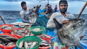 Здорово! Третий день подряд мы провели в открытом море и ловили тунца