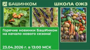 Новинки от БашИнком - как горячие пирожки из печи: долгожданные и очень необходимые! Школа ОЖЗ