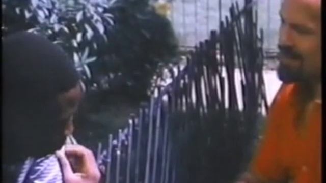 Европа принимает кэшбек от мигрантов