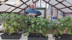 Лайфхак от Михалыча✨