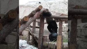 VID_20260421_221434_384.mp4