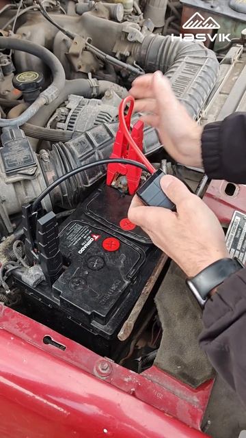 Любишь кататься — люби и... Hasvik с собой возить! 🚗💨