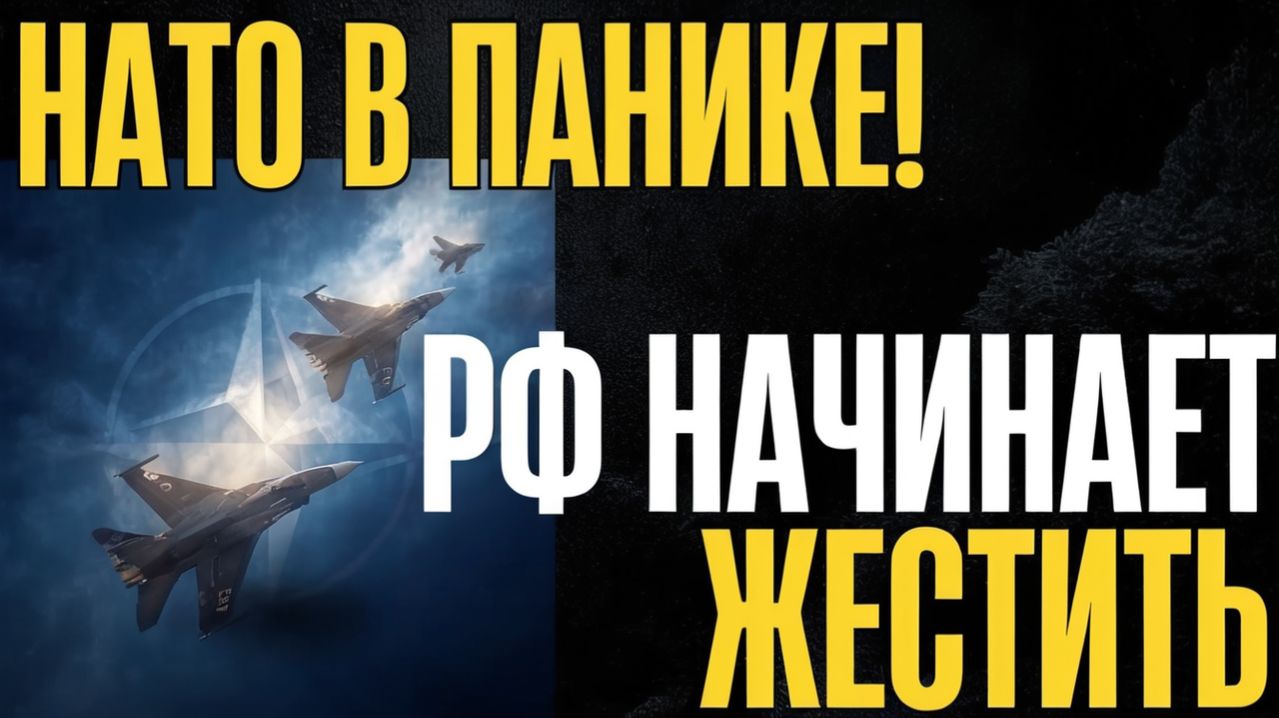 Альянс дрогнул...Самолёты зашли на цели...Полицию на ноль...К чему готовится ФРГ