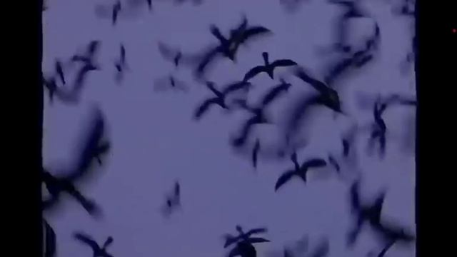 Backrooms found footage | Level 11 abandoned city