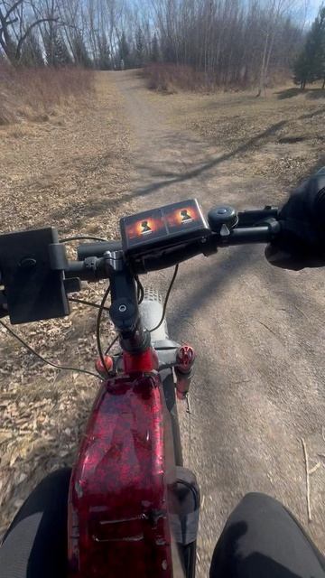 Фэтбайк на чиле