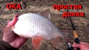 ОТКРЫЛ СЕЗОН на ОКЕ и сразу БОНУС. ПРОСТАЯ ДОНКА с ЧЕРВЁМ ловит всю рыбу.