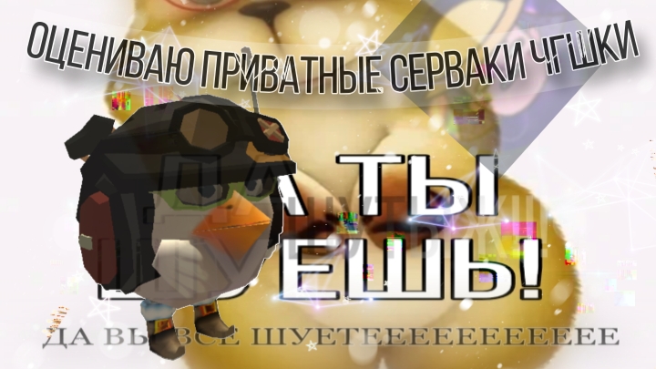 Оценка Приват серверов чикен ган