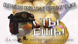 Оценка Приват серверов чикен ган