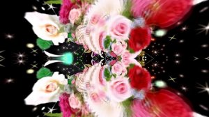 Футажи! Футаж Букеты роз К 4 от Киностудии Мудрого Кота Тимофея!!!