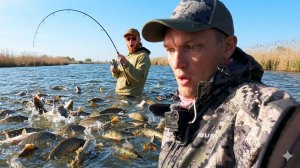 ДА ТУТ РЫБЫ БОЛЬШЕ ЧЕМ ВОДЫ! РЫБАЛКА О КОТОРОЙ МЕЧТАЕШЬ ВСЮ ЗИМУ! АСТРАХАНЬ 2026 ЧАСТЬ 1
