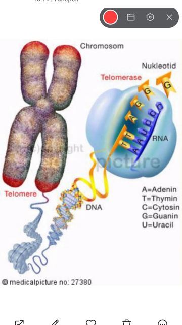 ну что что? ну давайте попробуем...