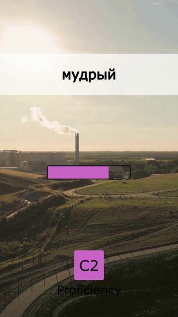 📅 Твоя ежедневная норма: 5 слов C2 (09 May 2026)