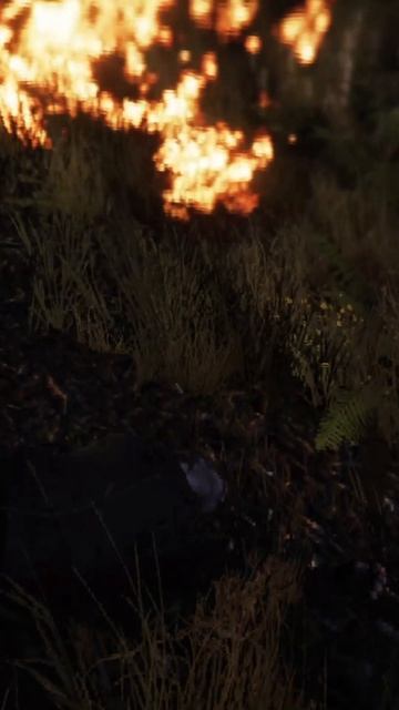 GTA 5. Замес с ВОЕННЫМИ 5