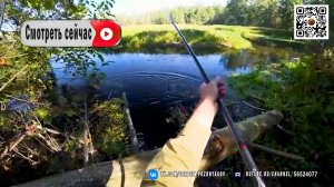 Рыбалка в Древнем ручье. Ловля щуки на удочку и живое общение с вами
