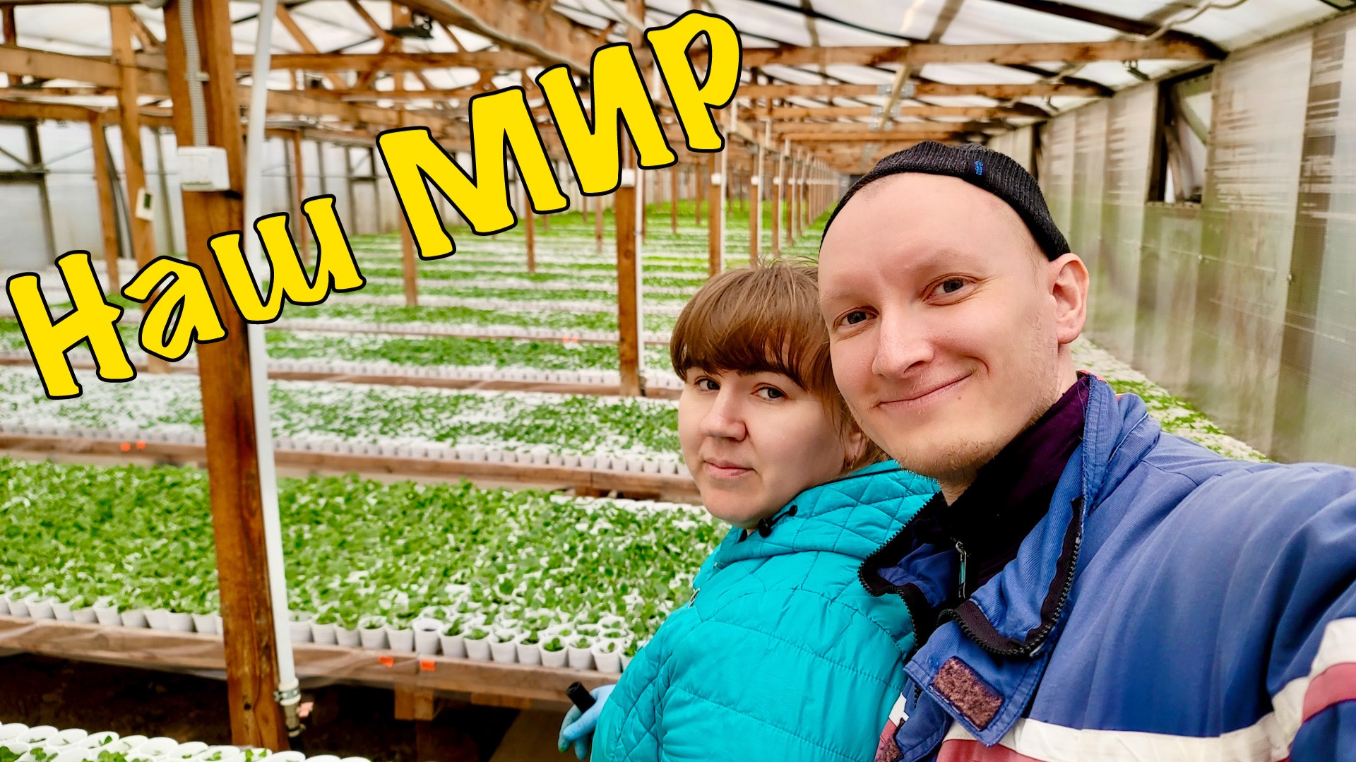 Меняем тюльпан на рассаду  Жизнь в теплице - от семечка до листа  Новыи сезон 2026  Наша ВЕСНА