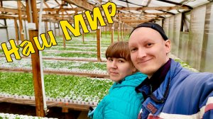 Меняем тюльпан на рассаду | Жизнь в теплице - от семечка до листа | Новый сезон 2026 | Наша ВЕСНА