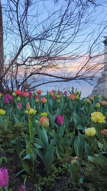 Севастополь