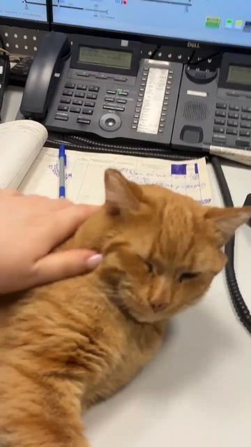 Феденька❤️