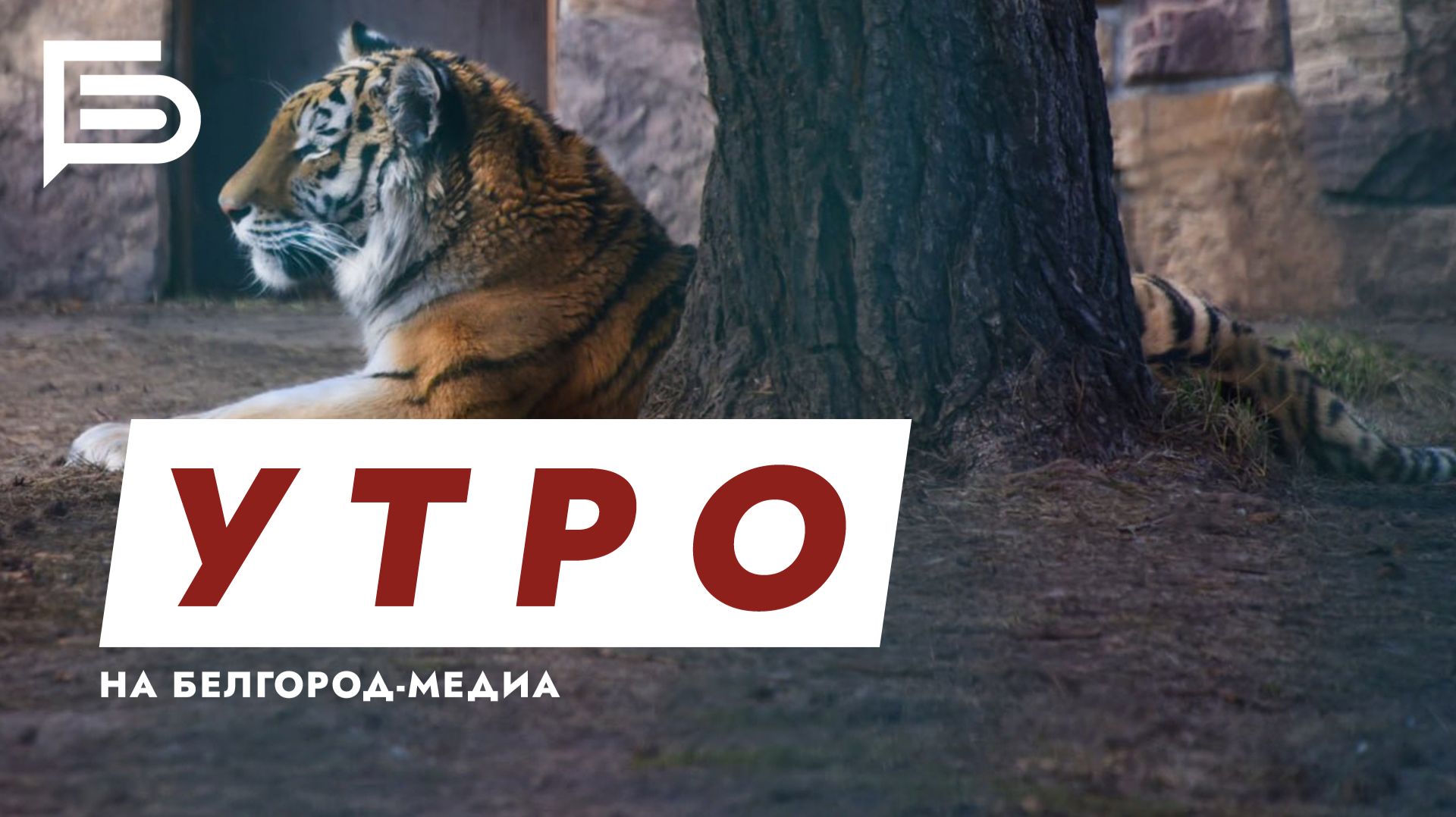 Утро Белгорода